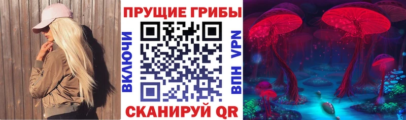 Галлюциногенные грибы мухоморы  где можно купить   OMG как зайти  Болгар 
